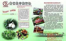 旅游圖片