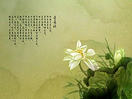 愛蓮說PSD