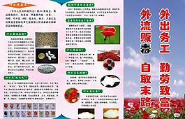 禁毒宣传画册图片