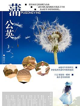 畫冊封面 書籍封面圖片