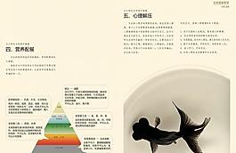 企業(yè)宣傳畫冊圖片