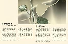企業(yè)宣傳畫冊圖片