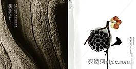 畫冊封面設(shè)計圖片