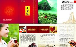 大紅袍 紅茶 茶文化 畫冊圖片