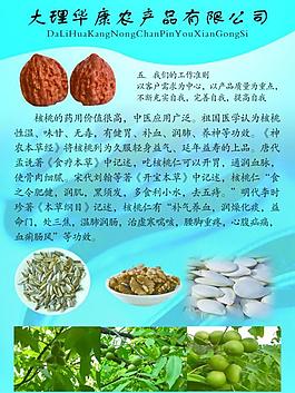 封面圖片