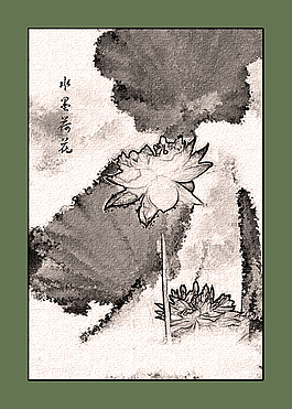 水墨荷花