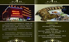 宣傳冊內(nèi)頁圖片