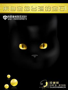 書籍封面圖片