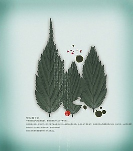 寫意樹葉