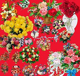 高精鮮花圖片