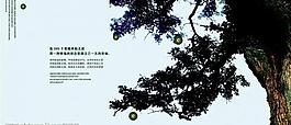 大樹圖片