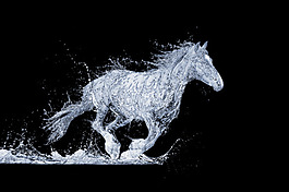 水馬