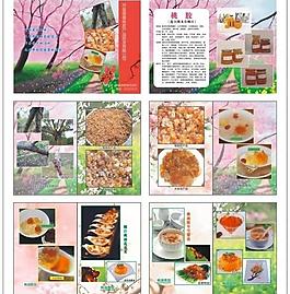 德春桃胶宣传册图片