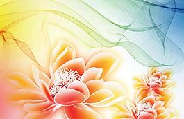 花朵移門圖片