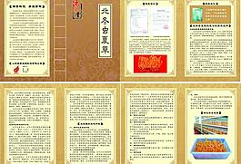 冬蟲夏草圖片