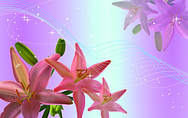 花韻