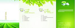 茶葉介紹圖片