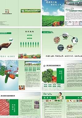 蔬菜宣傳冊圖片