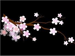 梅花透明flash圖片