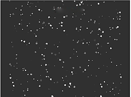 雪花圖片