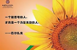 展板圖片