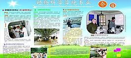 學校展板圖片