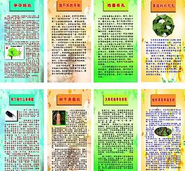 学校展板图片