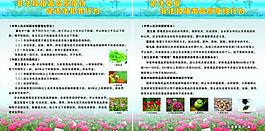 罌粟展板圖片