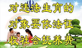 社區(qū)展板圖片
