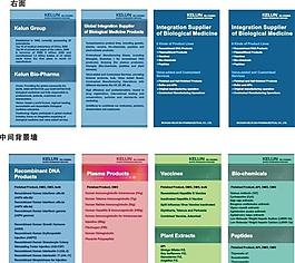 英文展板图片