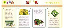 校園展板圖片