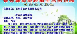 村展板圖片
