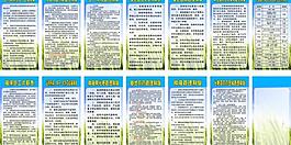 種植 展板模板圖片