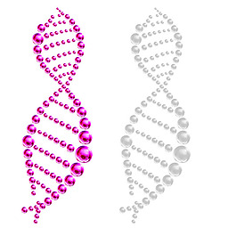美白分子结构
