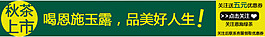 茶叶海报