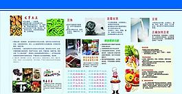 食品安全展板图片