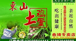 土鸡蛋展板设计图片