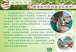 白內障展板圖片