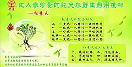 野生藥物展板圖片