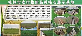 農(nóng)業(yè)宣傳展板圖片