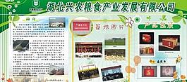 產(chǎn)品簡介展板圖片