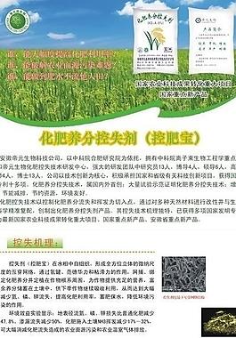 展架 展板 宣传页图片