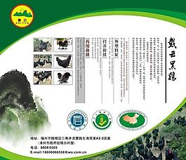 戴云黑雞展板圖片