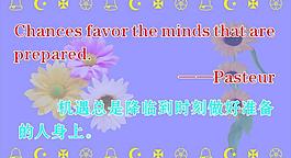 學(xué)校標(biāo)語 展板圖片