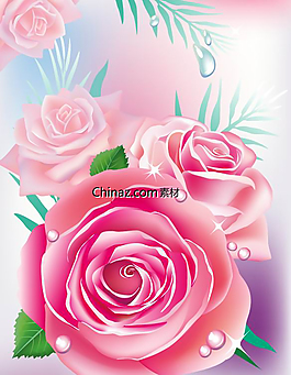高清玫瑰廣告宣傳背景矢量圖
