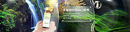 燕窩海報(bào)圖片psd 綠色天然