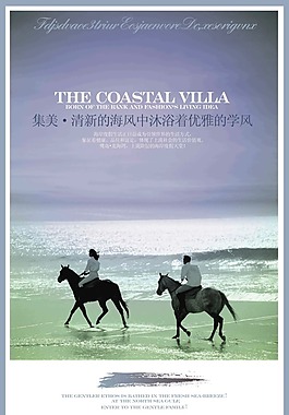 清新海风房地产广告