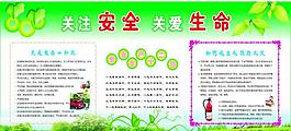 關注安全 關愛生命圖片