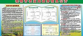 政務公開版報圖片