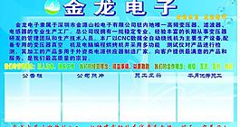 金龍電子圖片